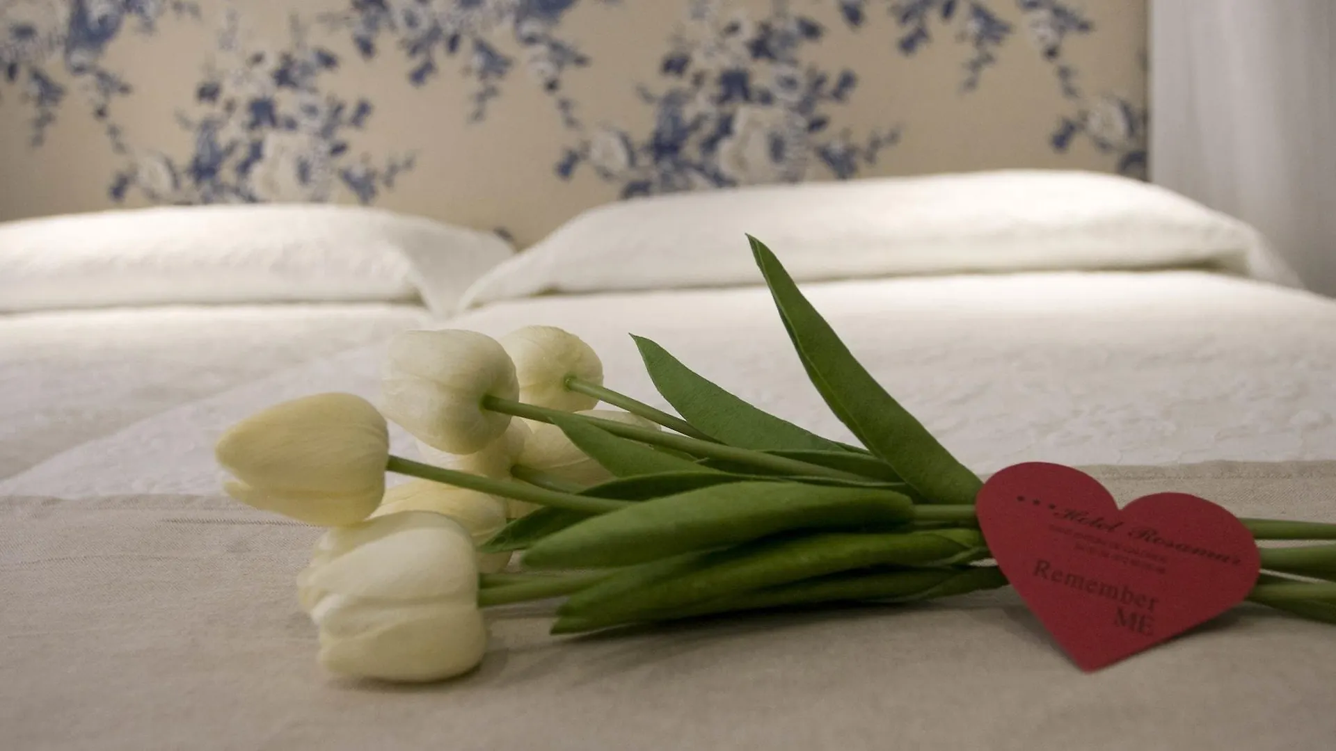 Hotel Rosamar Sant Antoni De Calonge